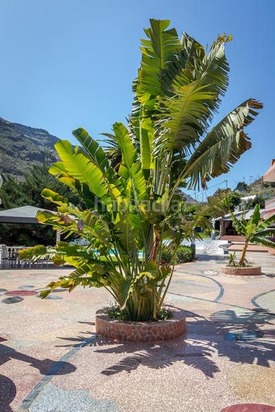 Foto 85d37851-daf7-45cd-9dbb-2b672cc856d8. Miete appartement mit pool in San Bartolomé Interior San Bartolomé de Tirajana