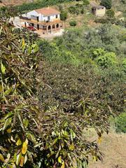 Propriété  Camino del almorquin. Finca en ojén a 10 minutos de marbella