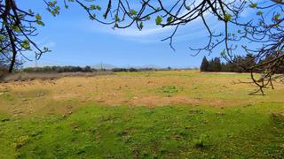 Residential Plot in Muro. Magnfica parcela rustica edificable de 15.557m2 en muro, cerca