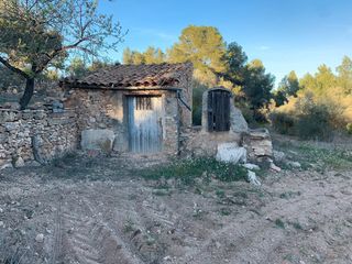 Rural plot  Avinguda lluís companys