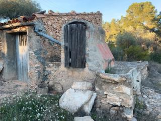 Rural plot  Avinguda lluís companys