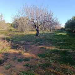 Rent Country house  Carretera tarragona-constantí 4. Finca rustica