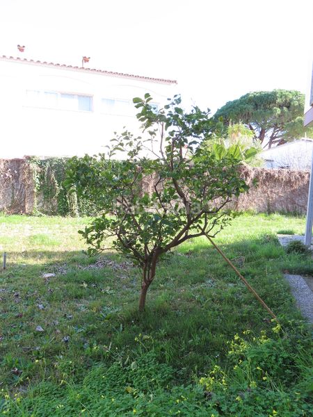 Foto 21a83ebc-17b9-491f-930a-d04d403c975b. Pis amb xemeneia aparcament a Requesens Empuriabrava