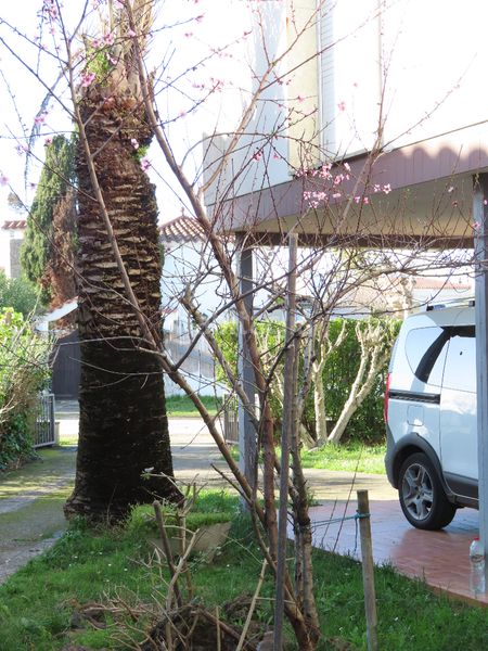 Foto 886a49db-3422-4e0a-9881-392dcb3c62fd. Pis amb xemeneia aparcament a Requesens Empuriabrava