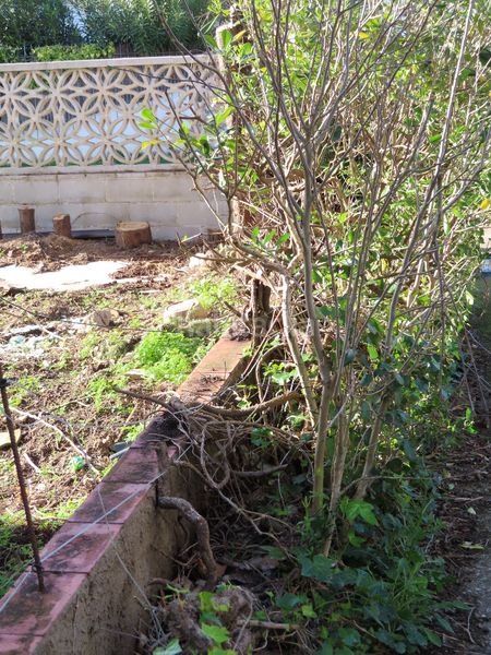 Foto c47ffab1-d7b7-472d-b5ef-2fc88a330876. Pis amb xemeneia aparcament a Requesens Empuriabrava