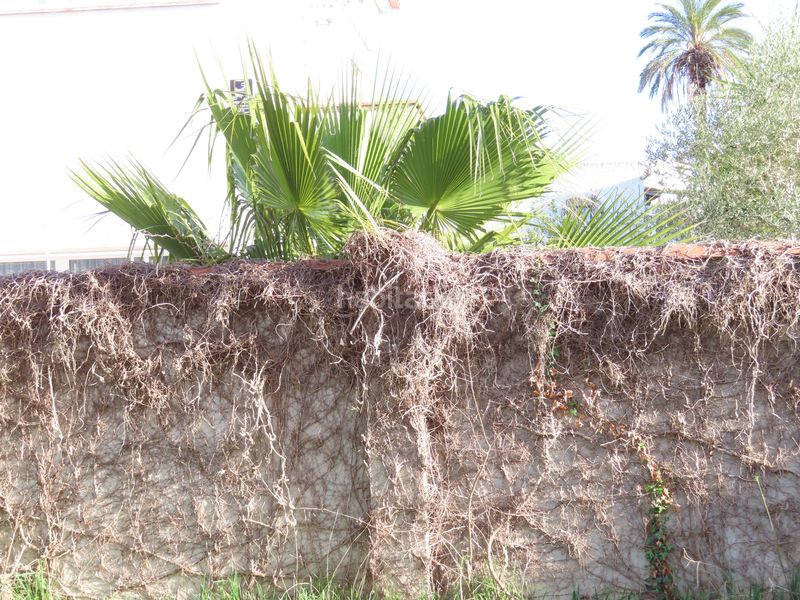 Foto c71f1f50-b814-43d9-a271-617cc84ba70e. Pis amb xemeneia aparcament a Requesens Empuriabrava