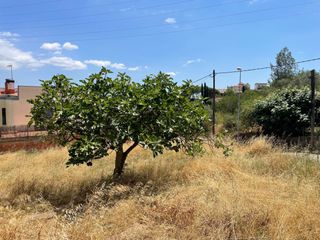 Solar urbano en Marianao. Terreno en venta en parque marianao.