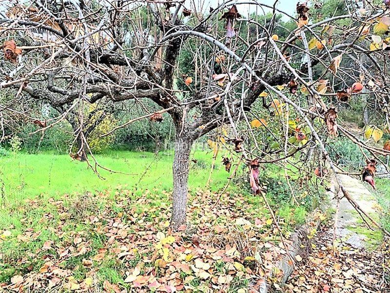 Foto 4928ffb7-738a-4726-a006-ce6e66fc3066. Casa con riscaldamento parcheggio in Marianao Sant Boi de Llobregat