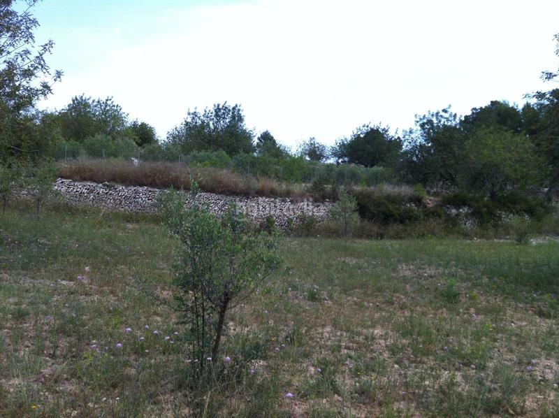 Foto 08bcb6dd-2ab4-46b0-9167-00adeb73aae2. Propriété dans carrer del castell 4 dans La Mora Tarragona