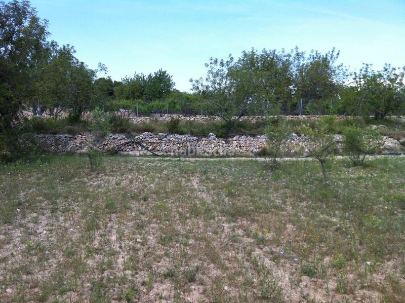 Foto 1cdf6b1d-7ba7-457d-aaa6-ae42ee73446d. Propriété dans carrer del castell 4 dans La Mora Tarragona