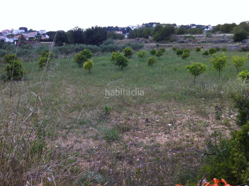 Foto cf323094-ed45-45f8-bf0f-9f17793f4b98. Propriété dans carrer del castell 4 dans La Mora Tarragona