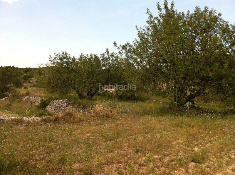 Foto ed7219f4-1f70-4ab7-a764-f84d6f237e16. Propriété dans carrer del castell 4 dans La Mora Tarragona