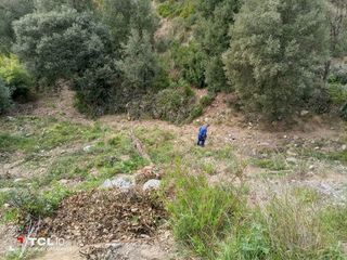 Solar urbano en Torrelles de Llobregat. Terreno en venta en torrelles de llobregat.