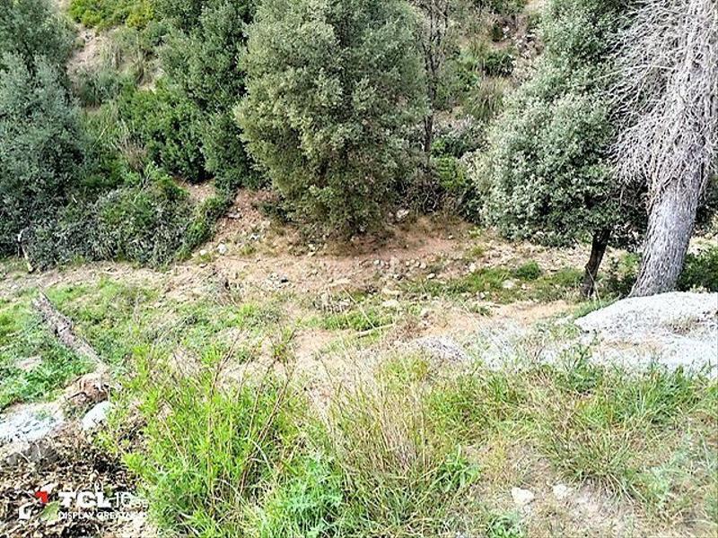 Foto 4cf2bb4c-b47a-42a0-8d1d-f57f9d23c3b0. Wohngrundstück in Torrelles de Llobregat