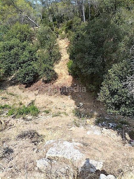 Foto bf066d5b-12e6-486e-91d9-2c6cce9db244. Wohngrundstück in Torrelles de Llobregat