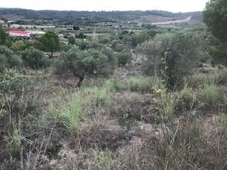 Terreny residencial a Carrer la carretera 97. Solar en venta en sant pere de riudebitlles.