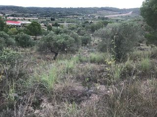 Terreno residencial en Sant Pere de Riudebitlles. Solar en venta en sant pere de riudebitlles.