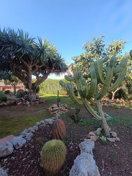 Foto 4a2b2406-fa53-4b97-a84a-95b3f02f437f. Casa amb calefacció aparcament piscina a Son Vilar-Trepucó Es Castell