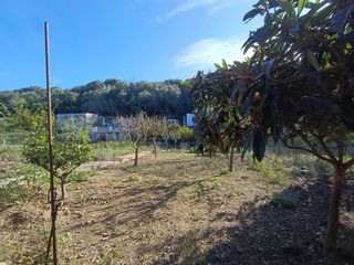 Finca r�stica en Es Grau-Serra Morena. Encantadora finca r�stica de 1.684 m2