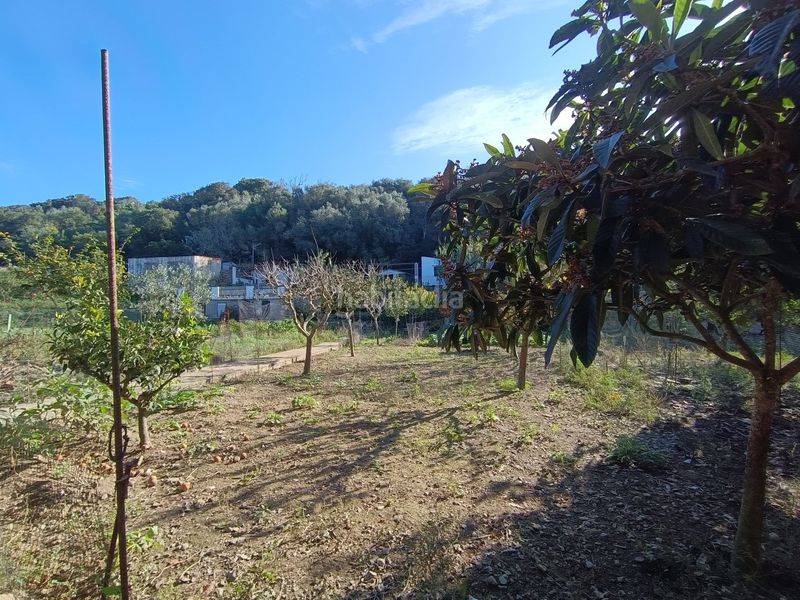 Foto 9d2a70b7-ec36-4b9d-a48f-40f54aff3163. Finca rústica a Es Grau-Serra Morena Maó / Mahón