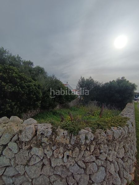 Foto 46a19e35-47d8-4341-869c-4b7a220b9bee. Finca rústica a Sant Lluís-s´ullestrar-torret Sant Lluís