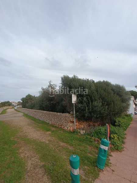 Foto 50b9ea35-3131-42a7-a68e-2dc6c02c7b42. Finca rústica a Sant Lluís-s´ullestrar-torret Sant Lluís