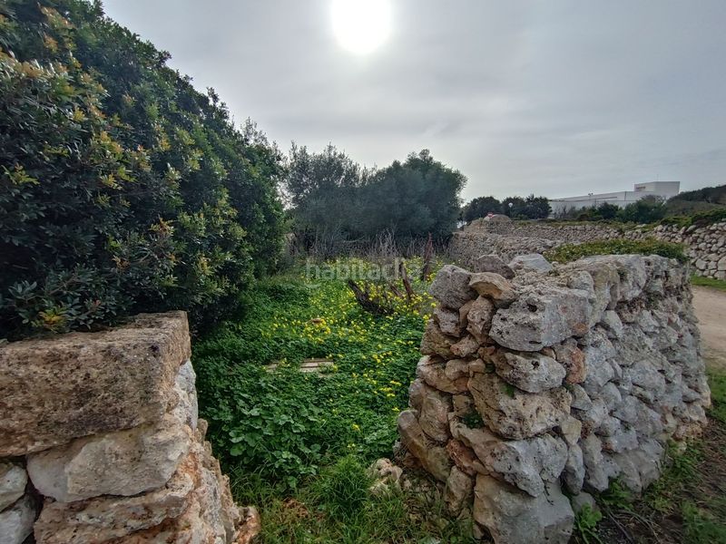 Foto 5ca7cd31-f77c-4232-bfdf-5a525c41f9fd. Finca rústica a Sant Lluís-s´ullestrar-torret Sant Lluís