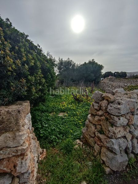 Foto 744ad62e-9b32-45e5-86f5-308d46d7a354. Finca rústica a Sant Lluís-s´ullestrar-torret Sant Lluís