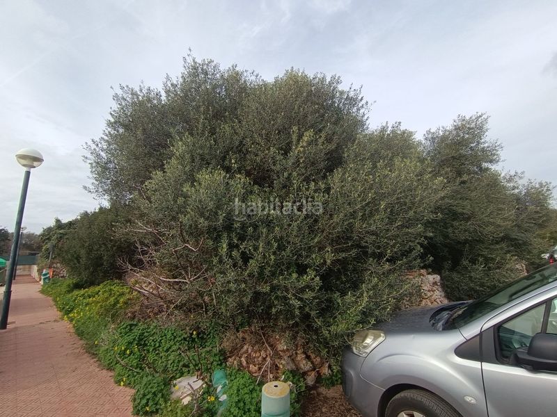 Foto a7198533-0b75-40d1-8a42-a74d690317db. Finca rústica a Sant Lluís-s´ullestrar-torret Sant Lluís