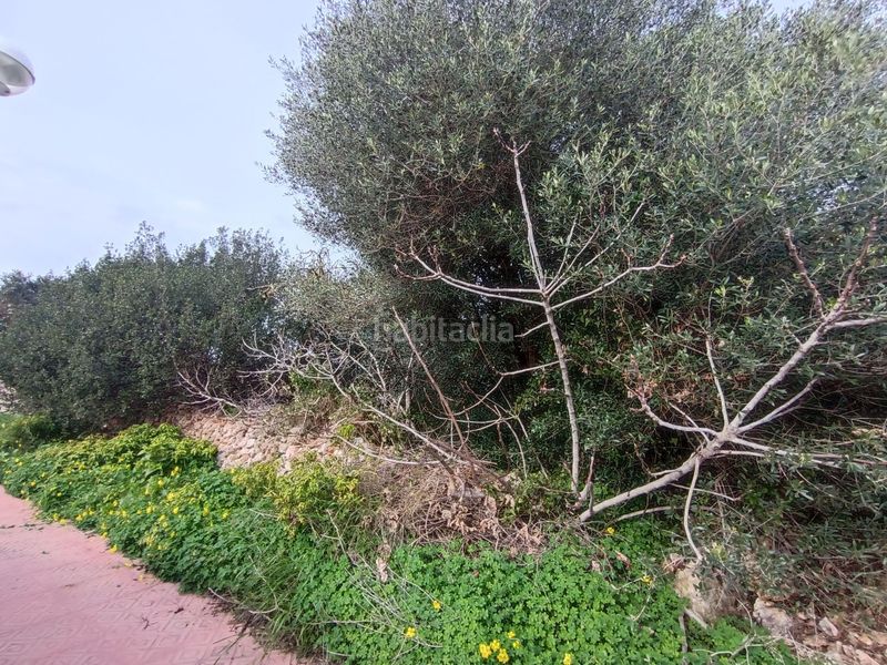 Foto e4b6f300-c43b-410c-94b3-a83613291b73. Finca rústica a Sant Lluís-s´ullestrar-torret Sant Lluís