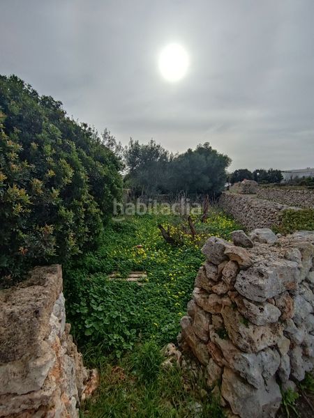 Foto f841295d-67cd-4c45-886f-02d0886785cf. Finca rústica a Sant Lluís-s´ullestrar-torret Sant Lluís