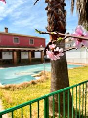 Xalet a Lora de Estepa. Venta • chalet • lora de estepa