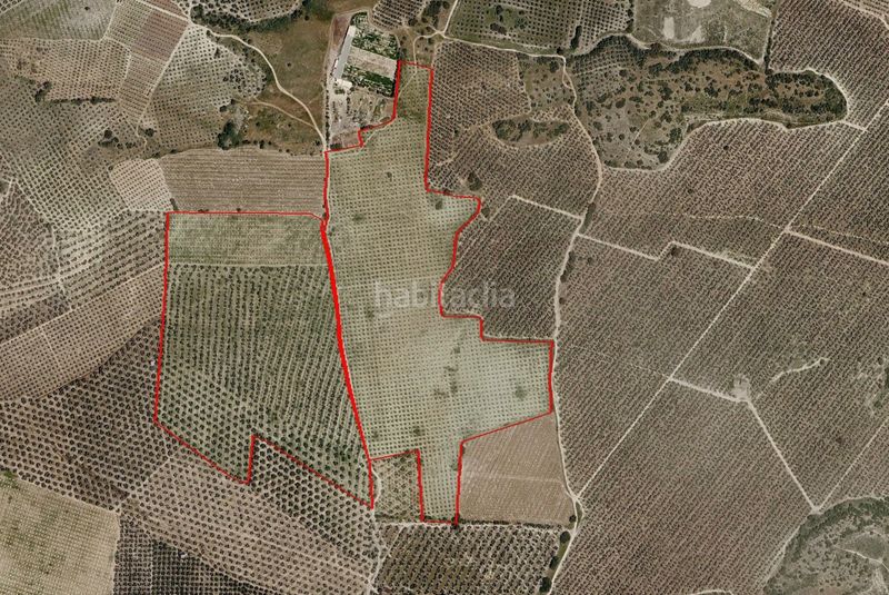 Foto fcdfa645-4e12-4361-bf5d-6277b192936a. Finca rústica a Estepa