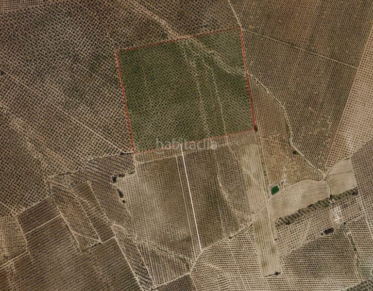 Foto 5342f7d1-7403-49fc-ae7c-4188c4c6aed5. Finca rústica a n/a a Estepa