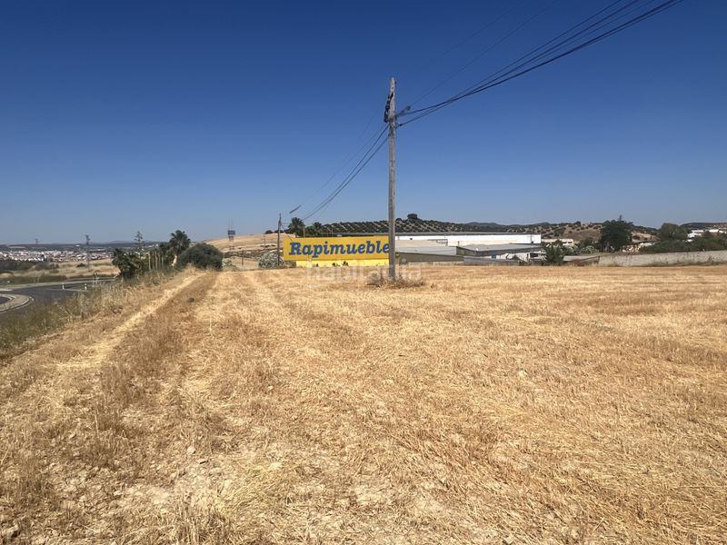 Foto 130b5b8c-c3ab-4a71-8caf-beaab3b46572. Finca rústica a a-379 5 a Puente Genil