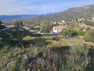 Terreny residencial a Alcaucín. Preciosa parcela con acceso fácil