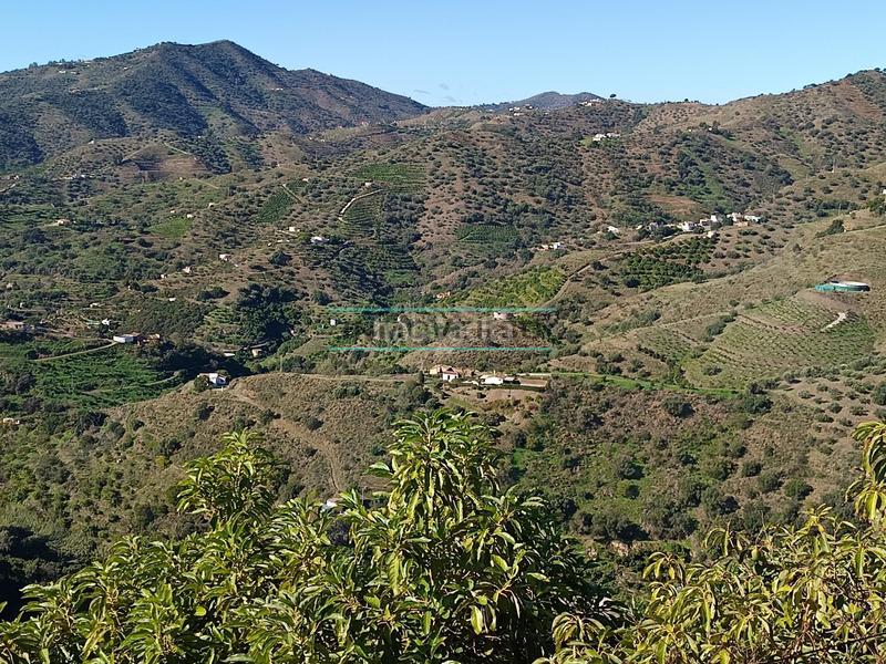 Foto 03741a65-f49d-419a-b98b-9465a65a986d. Rural plot in Sayalonga