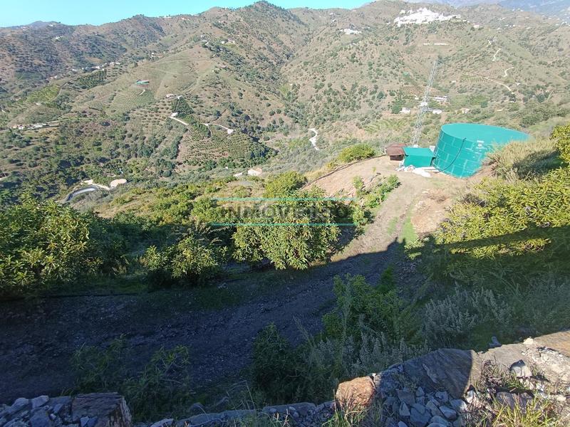 Foto 0df0bc37-e6dc-4248-bc41-3332871b0ff7. Rural plot in Sayalonga