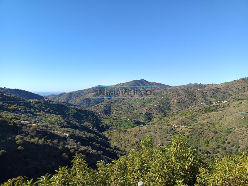 Foto 2c204389-8a53-4d48-8592-98e1a381d89a. Rural plot in Sayalonga