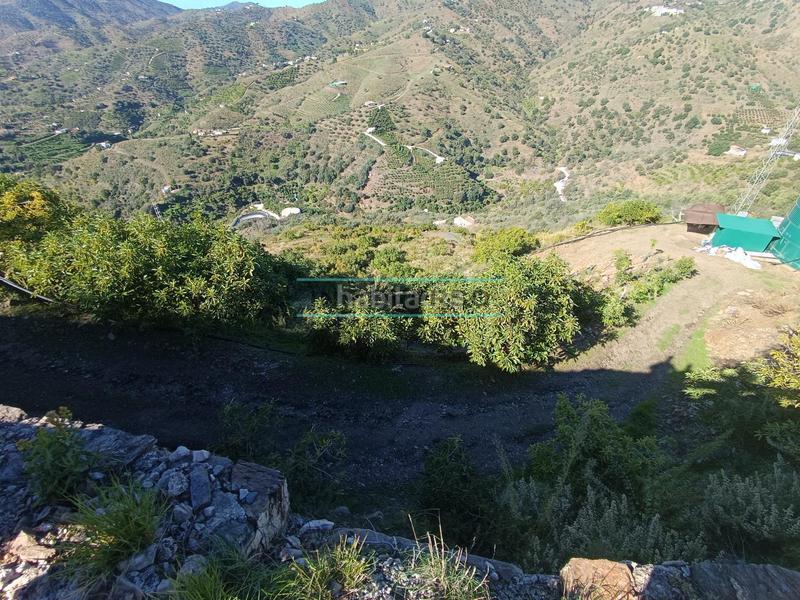 Foto 55e848e7-ac64-4506-961e-2159c6aea9e2. Rural plot in Sayalonga