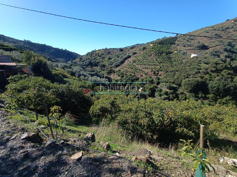 Foto 63cac03b-4538-46bd-8cc4-fe1dc6c4ad38. Rural plot in Sayalonga