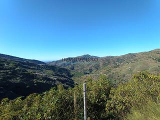 Finca rústica en Sayalonga. Finca de regadio con mas de 1000 arboles en produccion