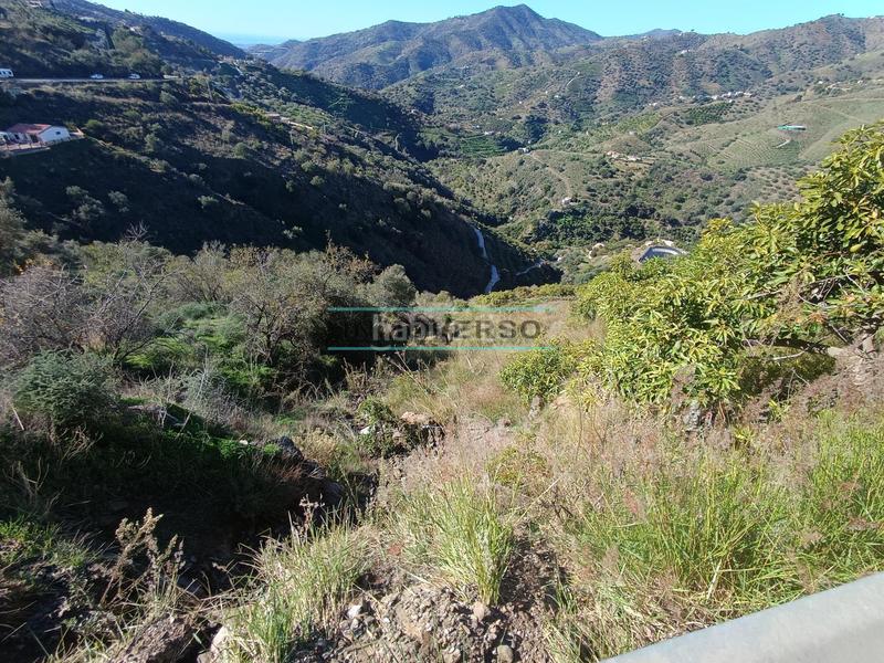 Foto 7d5c324c-feba-4339-8428-09a5e93fddf6. Rural plot in Sayalonga