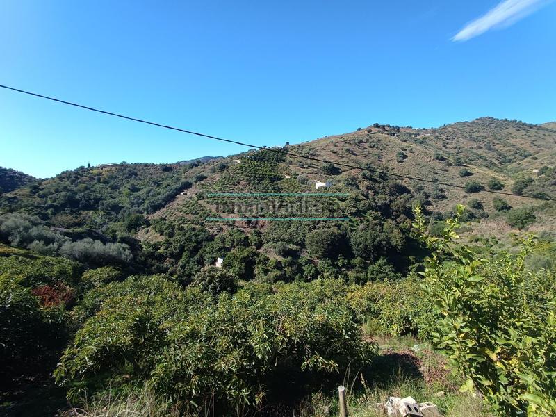 Foto 88e82527-a70a-4698-80b3-27bfbf252798. Rural plot in Sayalonga