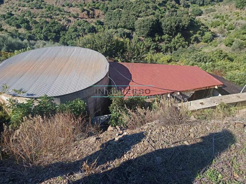 Foto cee0d5d5-a69b-4008-ae87-c0c3f357212a. Rural plot in Sayalonga