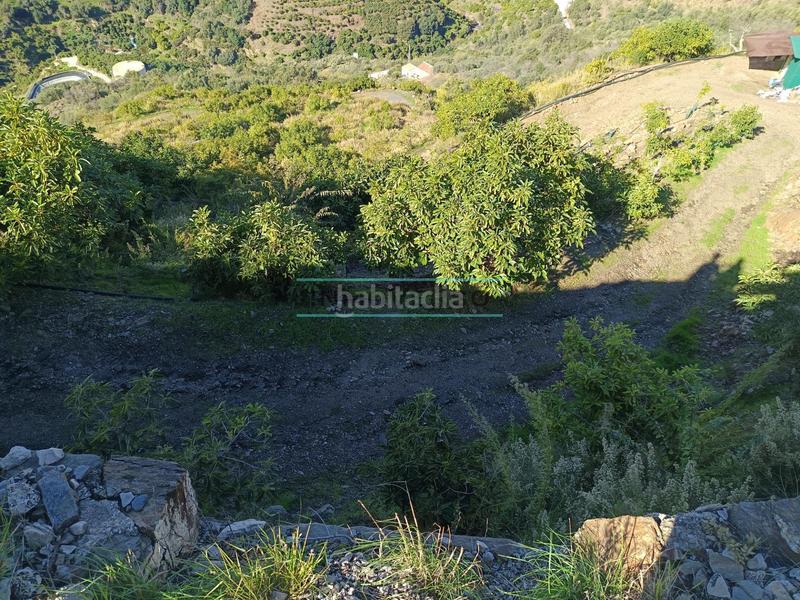 Foto fa71246a-386f-4eb7-8b2b-61c2e0dc58d4. Rural plot in Sayalonga