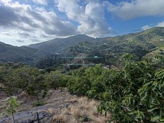 Propriété à Sayalonga. Espectacular  finca con arboles frutales