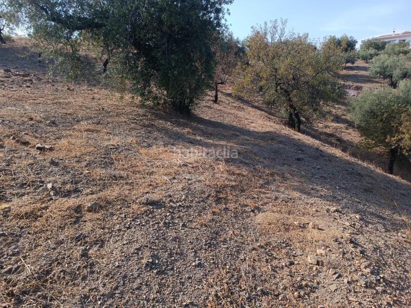 Foto 9e5cd129-9ccf-4270-862e-a26883ae26e2. Finca rústica a Riogordo