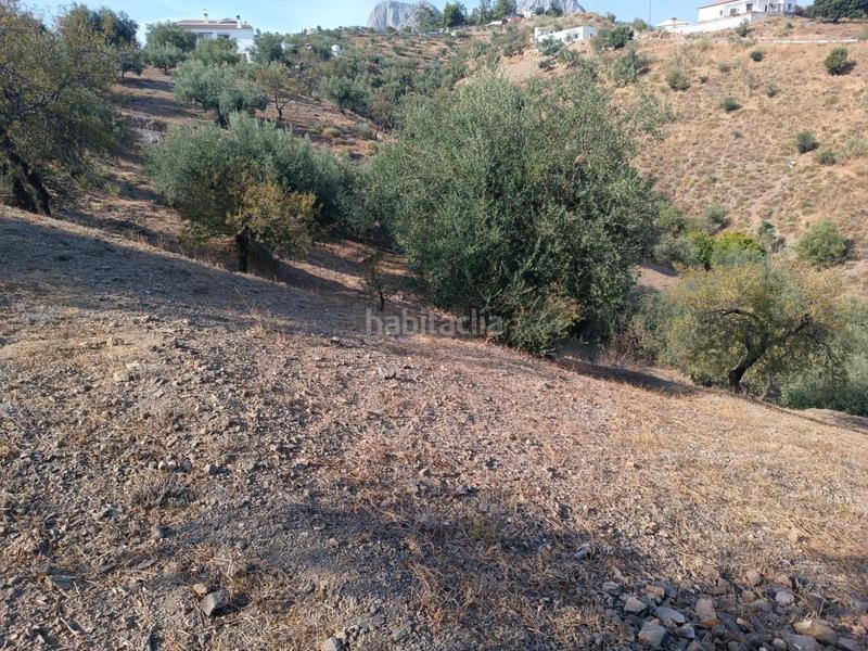 Foto b2510e5a-b807-4c7a-b317-6790405d40b3. Finca rústica a Riogordo