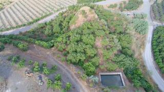 Rural plot in Norte - Barrio del Pilar - El Reñidero. Finca rustica con edificacción alta produccion agricola en la ax